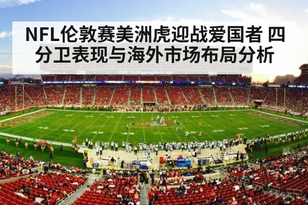 nfl fans stadium